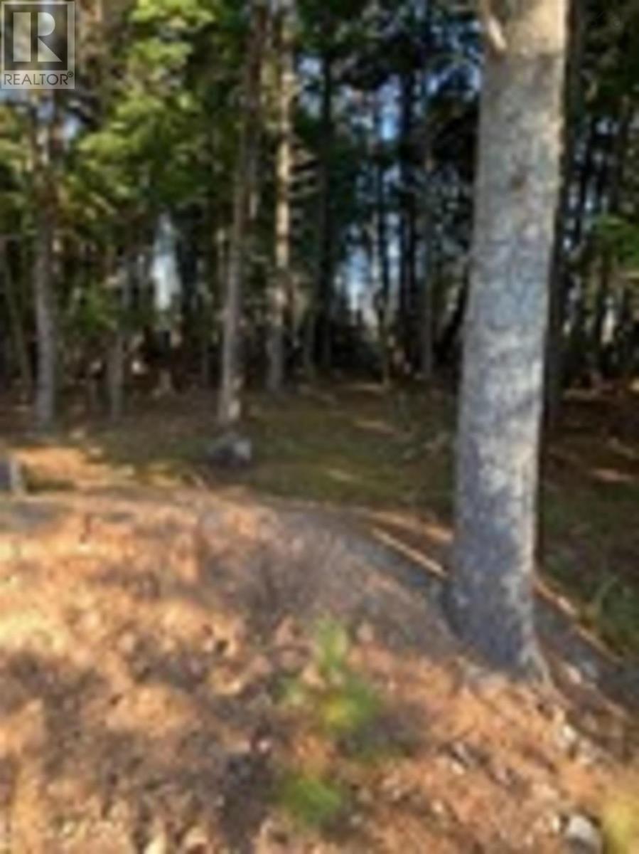 18 Acres Highway 256, West Branch, Nova Scotia  B0K 1R0 - Photo 6 - 202601386