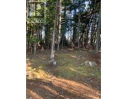 18 Acres Highway 256, west branch, Nova Scotia