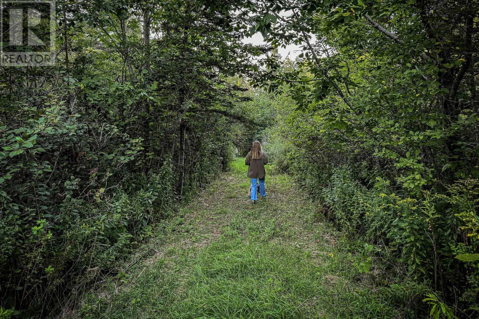 Lot 4 Outram Road, Outram, Nova Scotia  B0S 1P0 - Photo 6 - 202601417