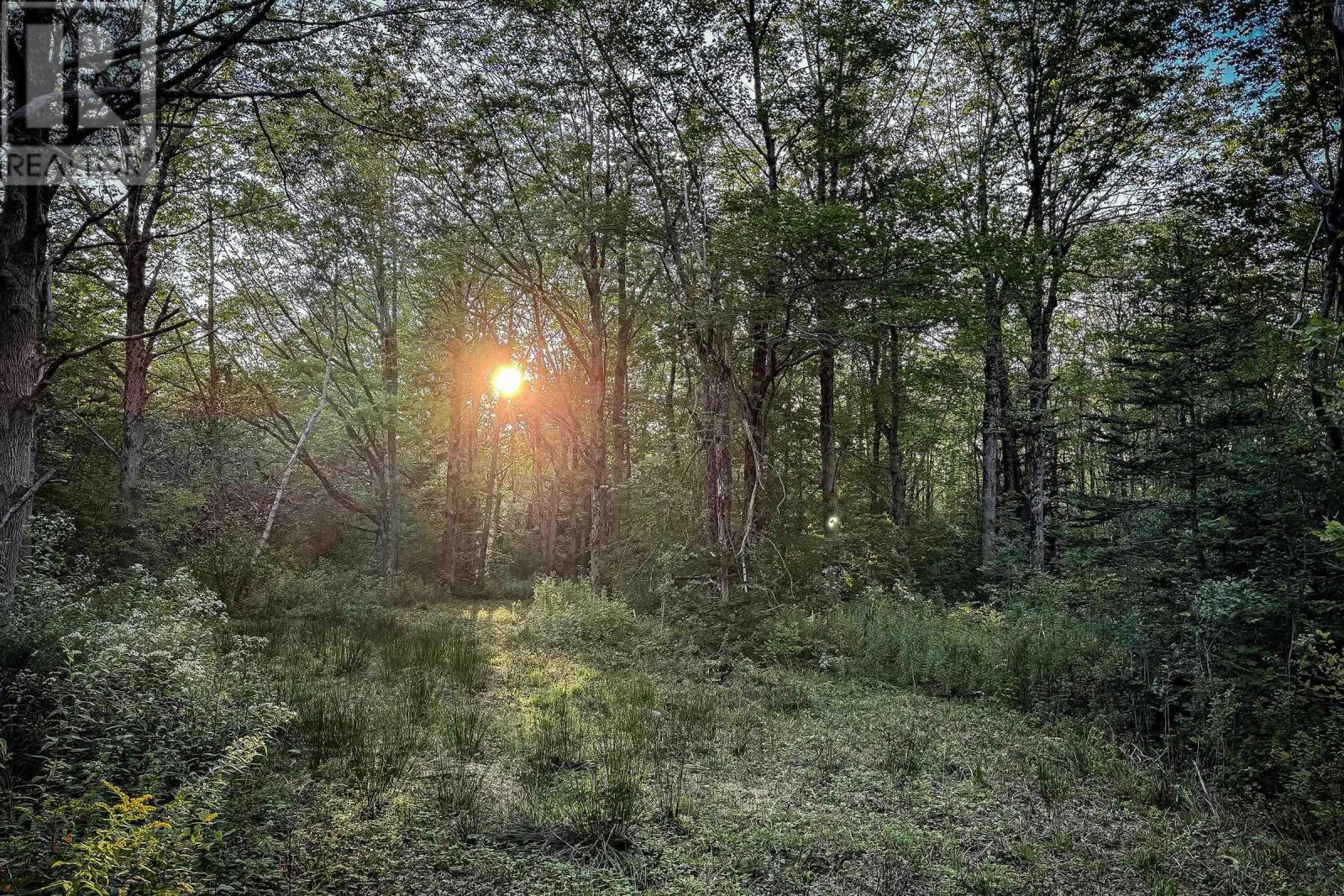 Lot 4 Outram Road, Outram, Nova Scotia  B0S 1P0 - Photo 8 - 202601417