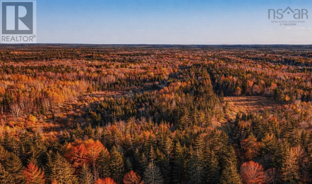 Lot Highway 101, St. Bernard, Nova Scotia  B0W 1J0 - Photo 4 - 202601497