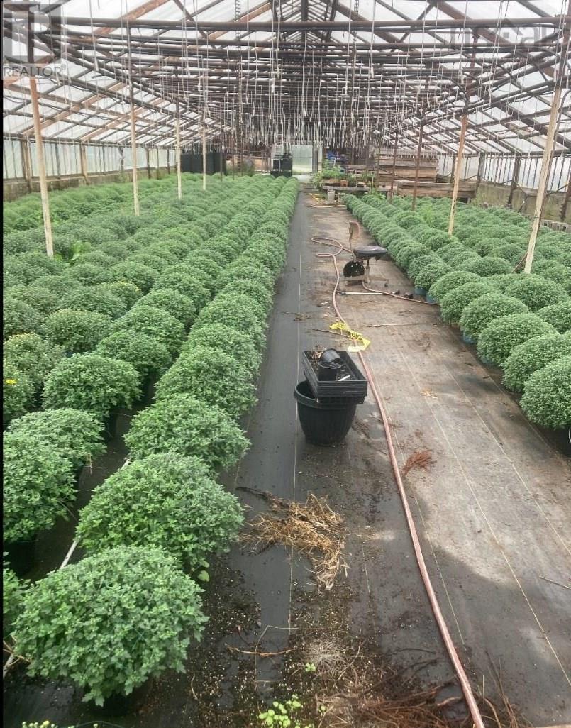 429 Seaview Drive, Upper North Sydney, Nova Scotia  B2A 2N7 - Photo 21 - 202601640