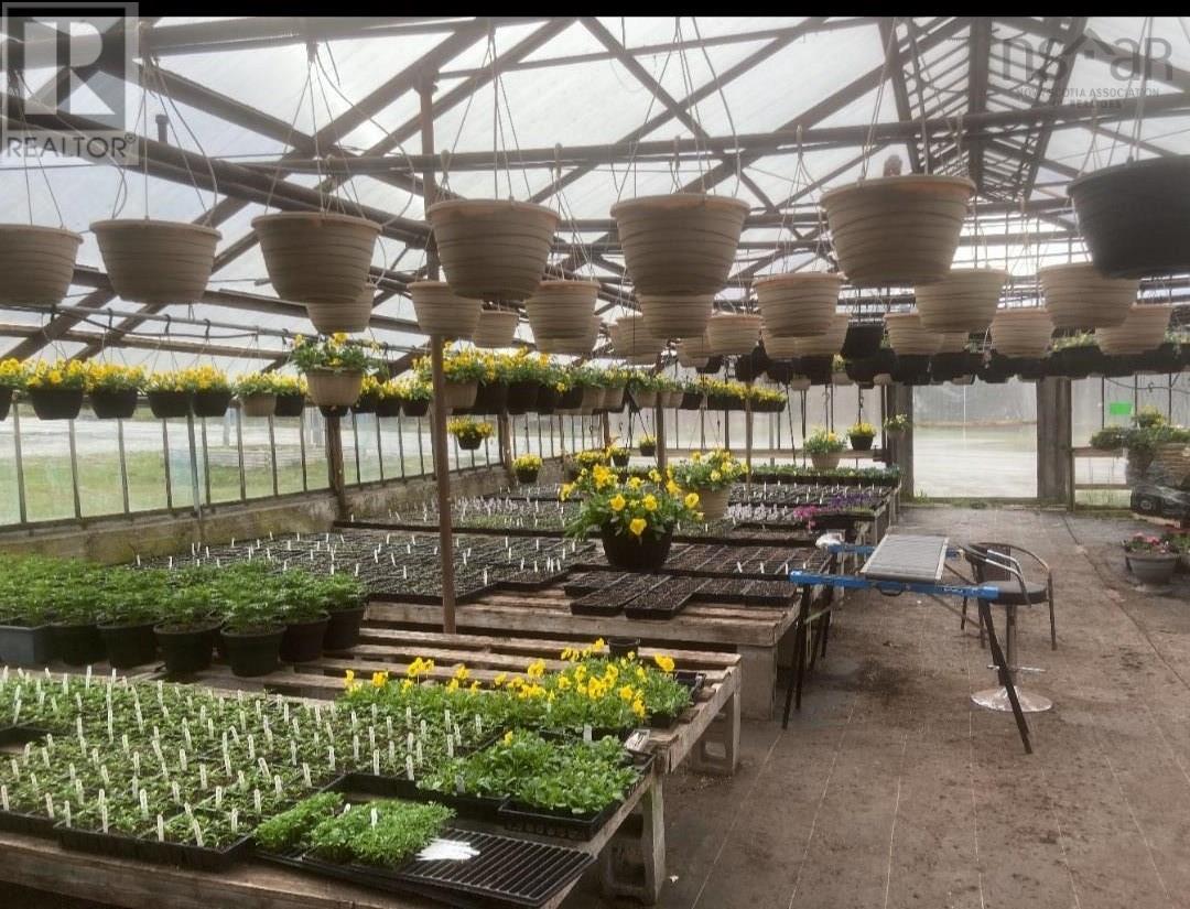 429 Seaview Drive, Upper North Sydney, Nova Scotia  B2A 2N7 - Photo 9 - 202601640