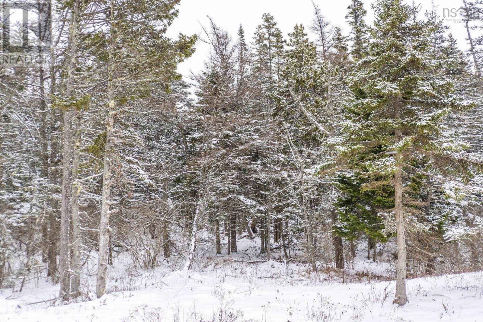 Lot Meteghan Connector Road, Meteghan, Nova Scotia  B0W 1M0 - Photo 14 - 202601748