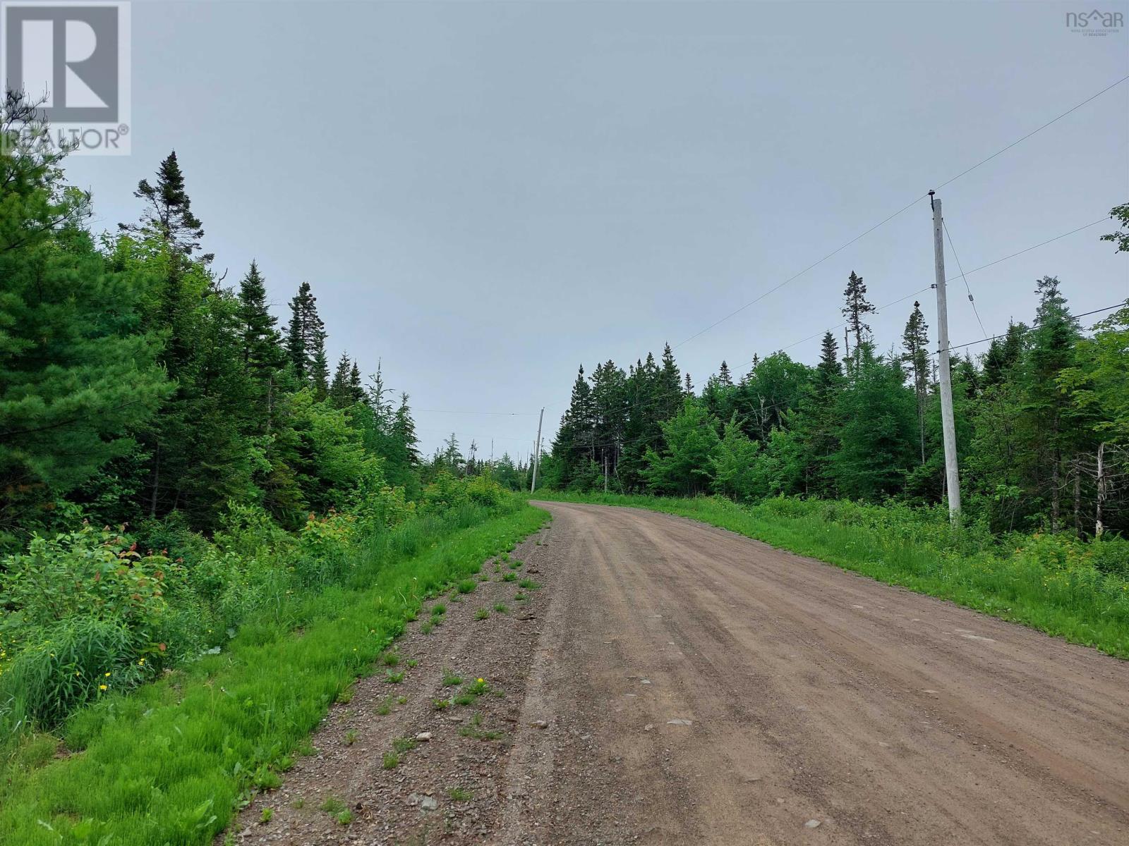 Lot 16 Walkerville Rd., Walkerville, Nova Scotia  B0E 1J0 - Photo 4 - 202601859