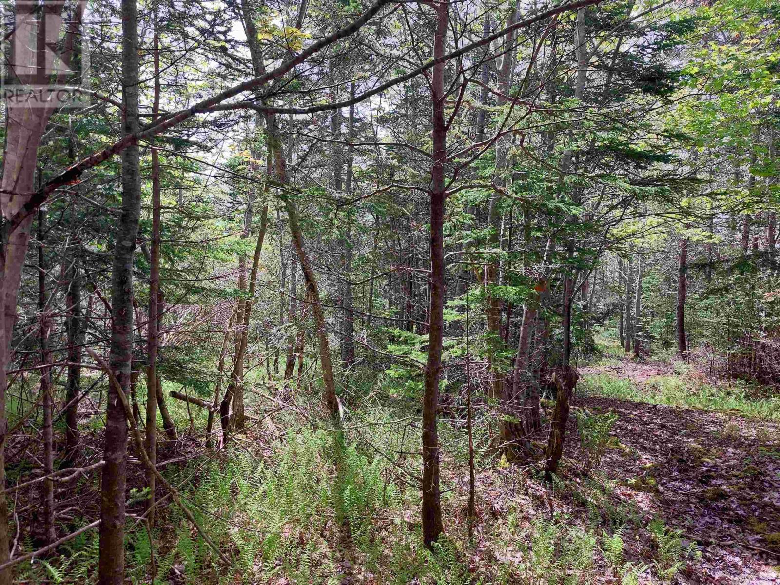 Lot 16 Walkerville Rd., Walkerville, Nova Scotia  B0E 1J0 - Photo 9 - 202601859