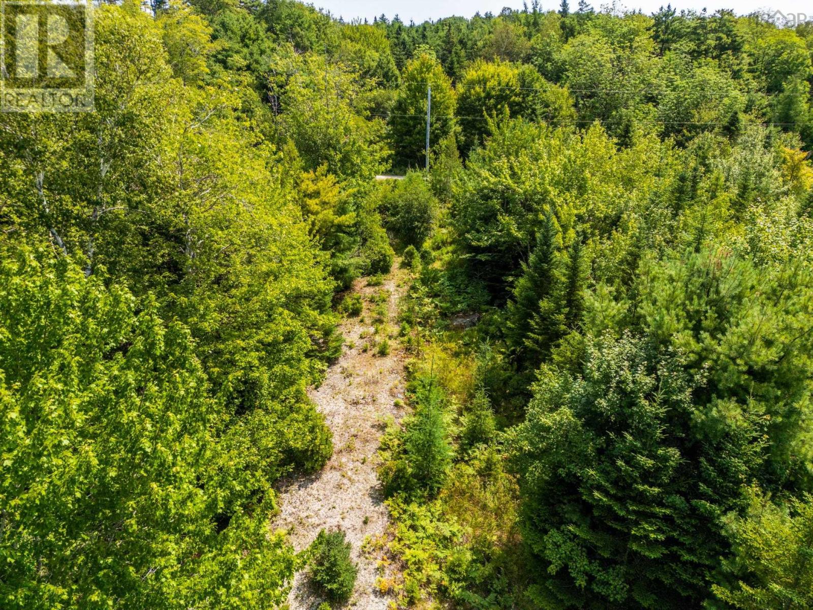 Lot 4 Maple Leaf Drive, East Canaan, Nova Scotia  B0W 3M0 - Photo 17 - 202601863
