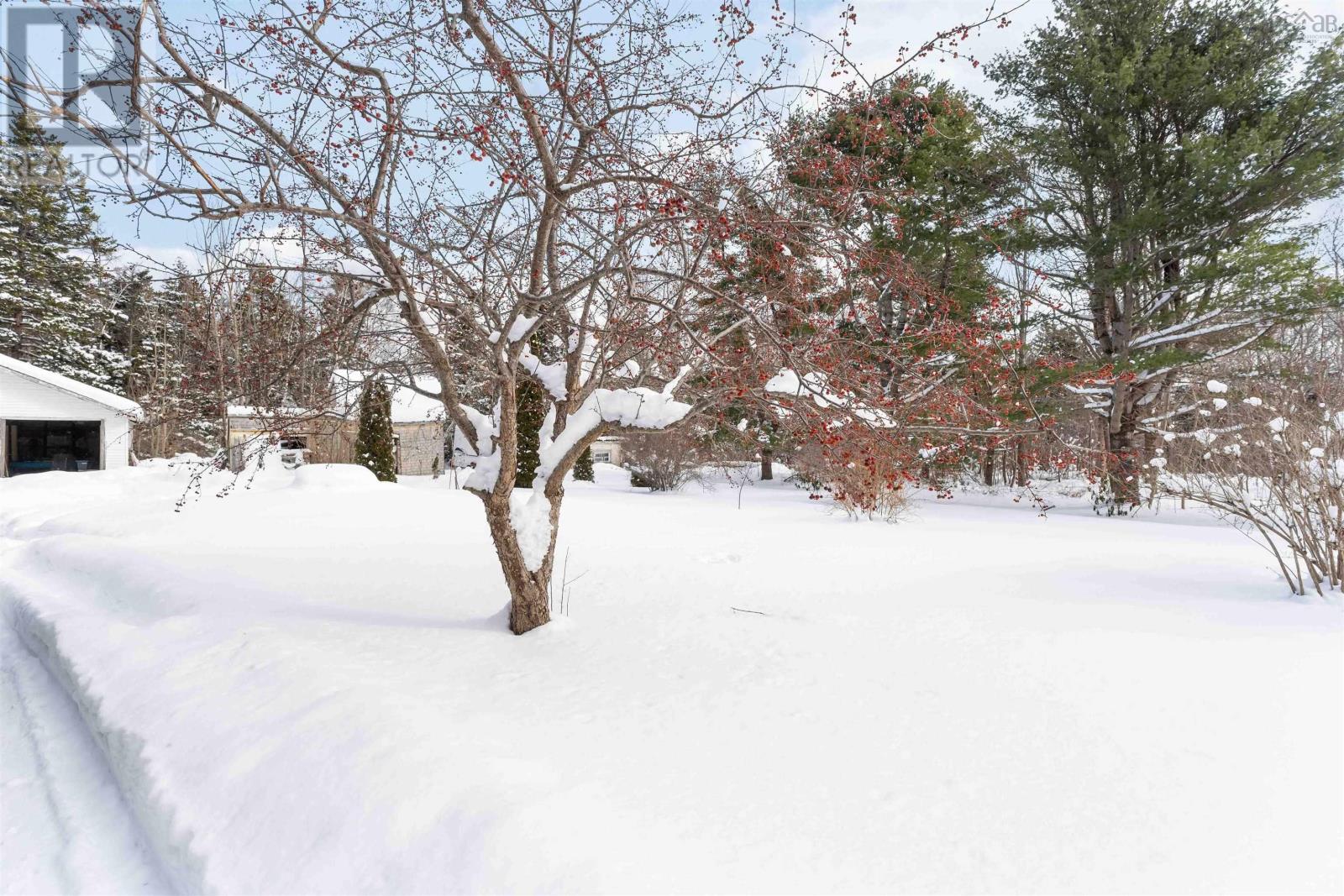 729 North Range Cross Road, North Range, Nova Scotia  B0W 1H0 - Photo 6 - 202601874