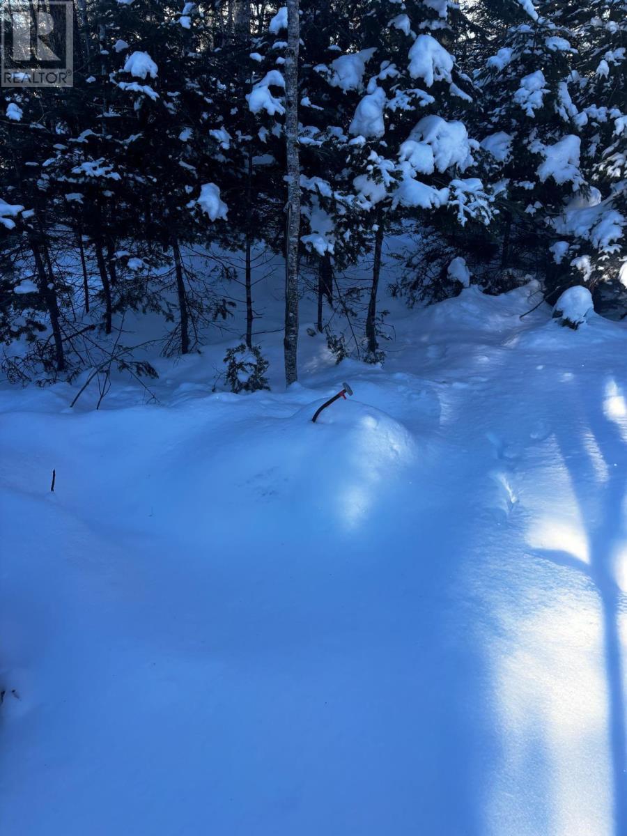 Lot 29 Salmon Run Road, Newburne, Nova Scotia  B0J 2E0 - Photo 13 - 202601897