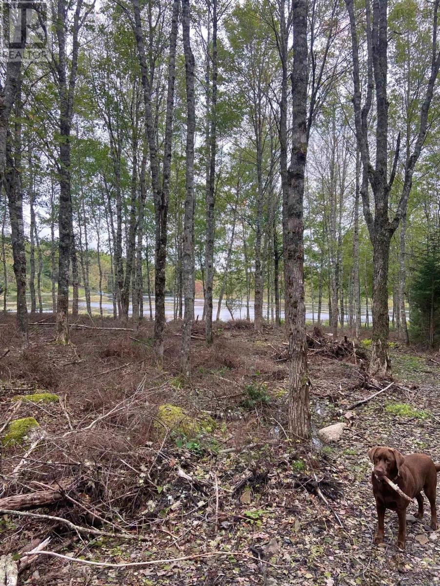 Lot 29 Salmon Run Road, Newburne, Nova Scotia  B0J 2E0 - Photo 16 - 202601897