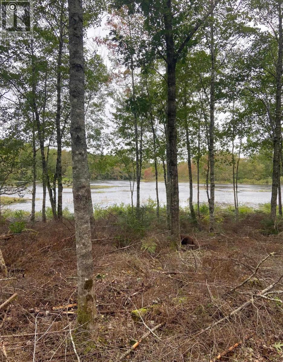 Lot 29 Salmon Run Road, Newburne, Nova Scotia  B0J 2E0 - Photo 6 - 202601897