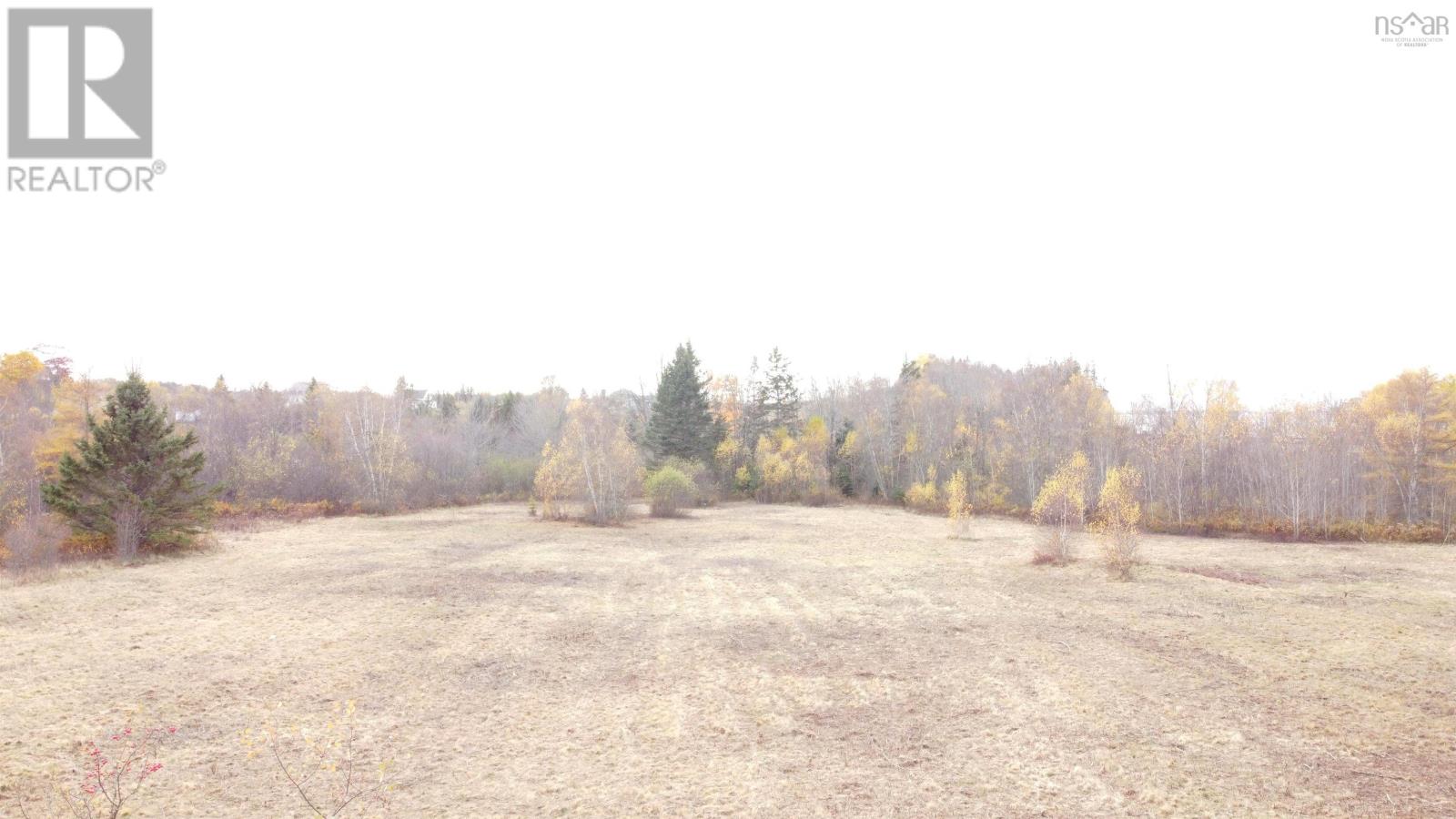 29 Shipyard Road, Cheverie, Nova Scotia  B0N 1G0 - Photo 5 - 202601898