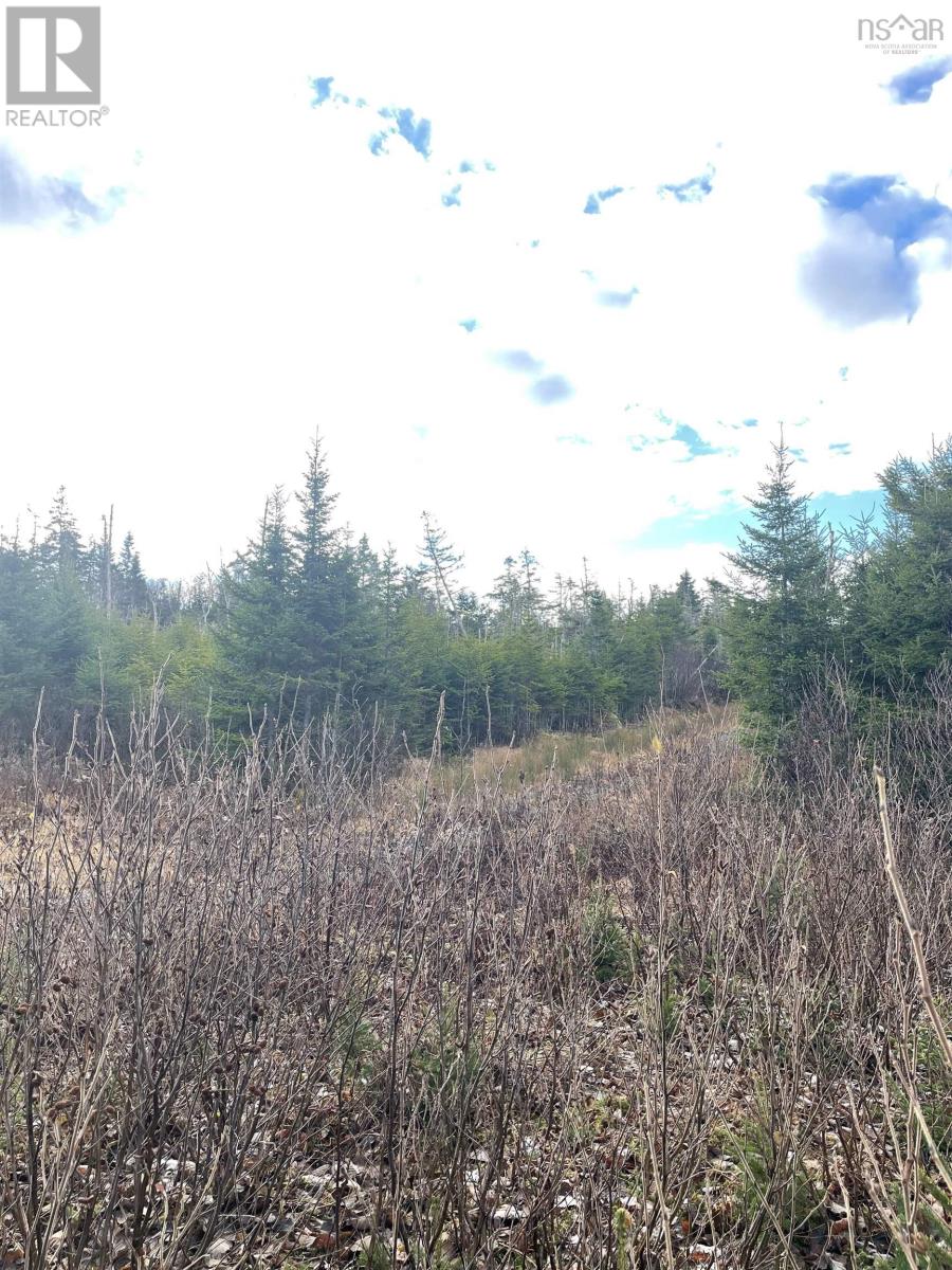 Lot 21-2 West Liscomb Point Road, West Liscomb, Nova Scotia  B0J 2A0 - Photo 13 - 202601909