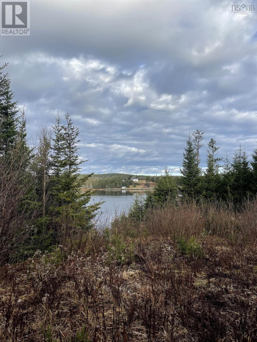 Lot 21-2 West Liscomb Point Road, West Liscomb, Nova Scotia  B0J 2A0 - Photo 3 - 202601909