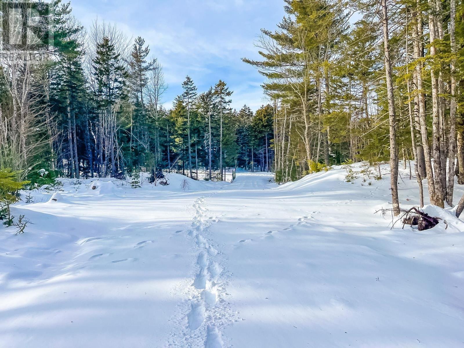 Lot 9 Conquerall Road, Conquerall Bank, Nova Scotia  B0R 1G0 - Photo 2 - 202601986