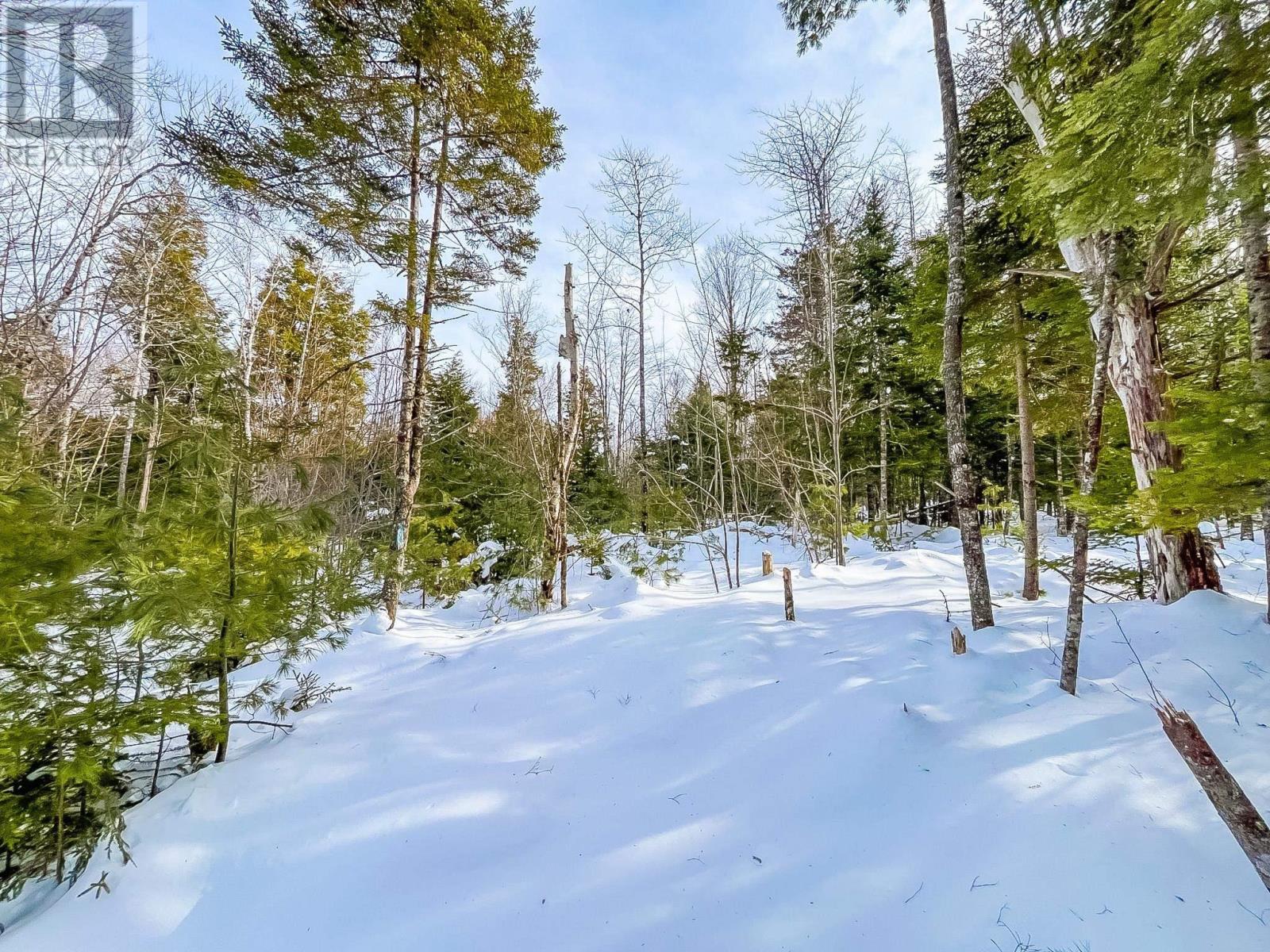 Lot 9 Conquerall Road, Conquerall Bank, Nova Scotia  B0R 1G0 - Photo 4 - 202601986