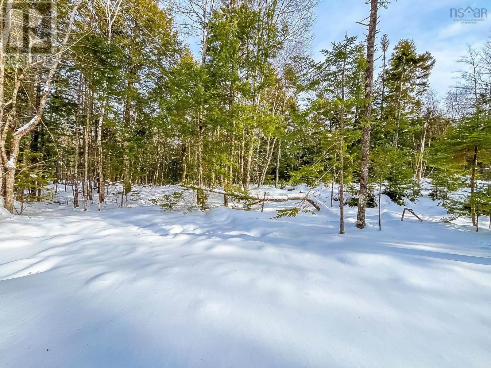 Lot 9 Conquerall Road, Conquerall Bank, Nova Scotia  B0R 1G0 - Photo 5 - 202601986
