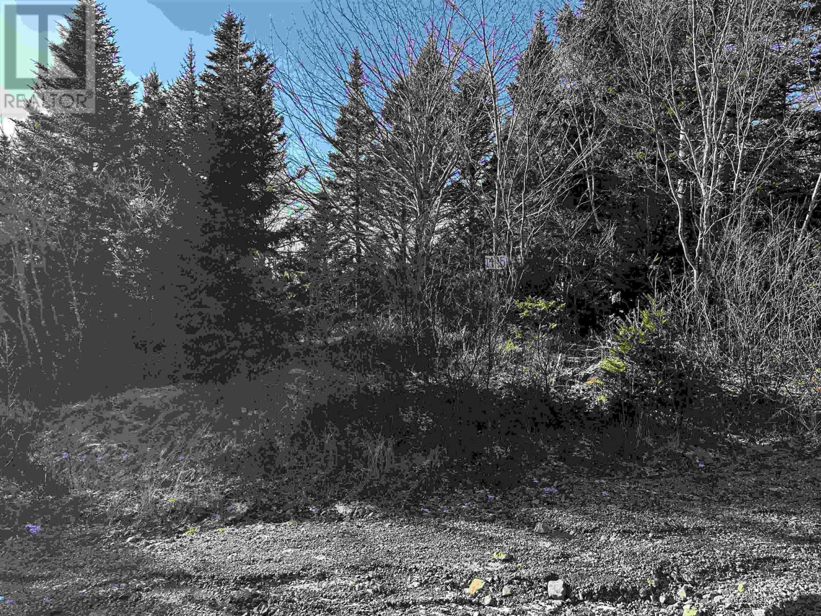 Old Monastery Road, north riverside, Nova Scotia