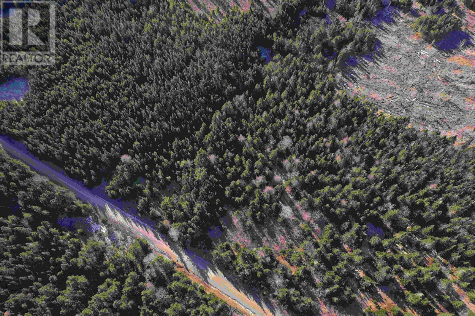 Old Monastery Road, North Riverside, Nova Scotia  B0H 1G0 - Photo 10 - 202601988