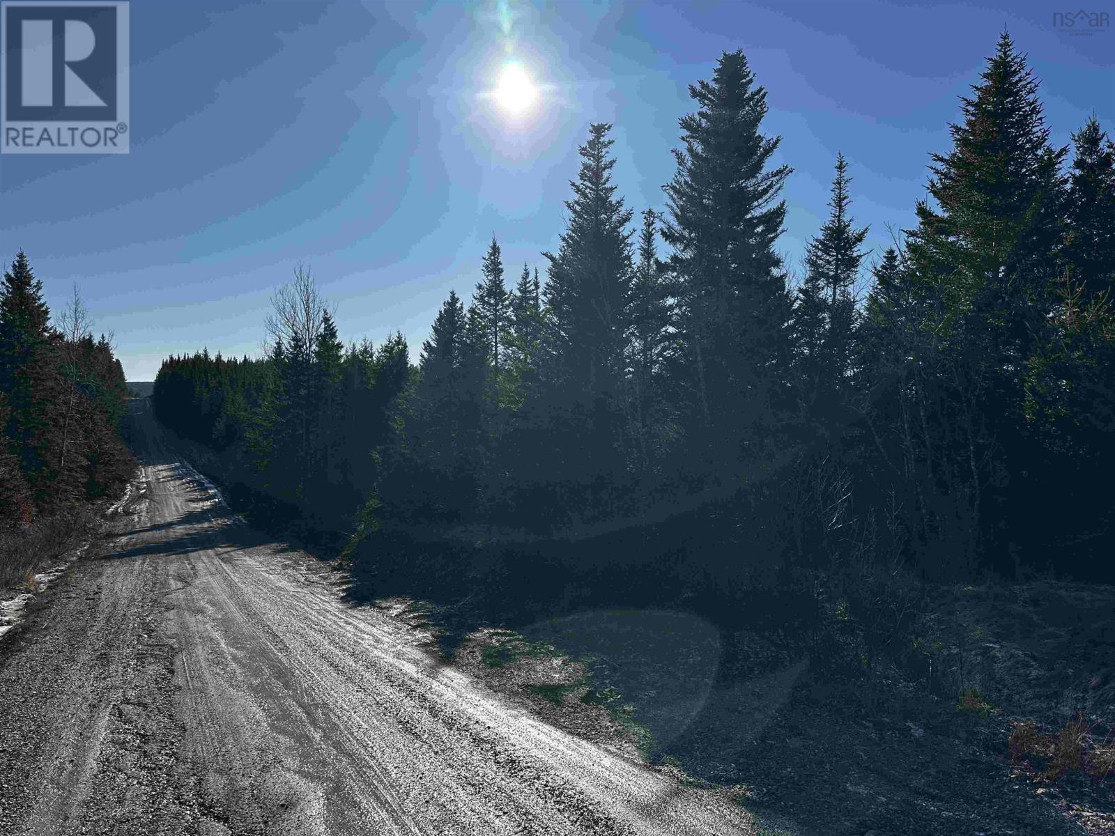 Old Monastery Road, North Riverside, Nova Scotia  B0H 1G0 - Photo 4 - 202601988