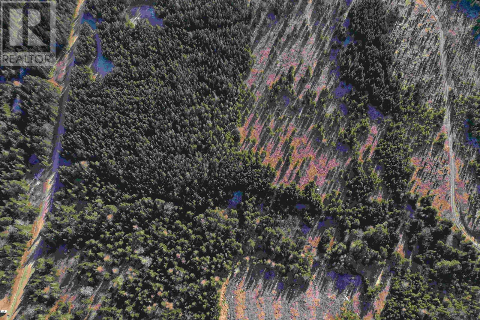 Old Monastery Road, North Riverside, Nova Scotia  B0H 1G0 - Photo 8 - 202601988