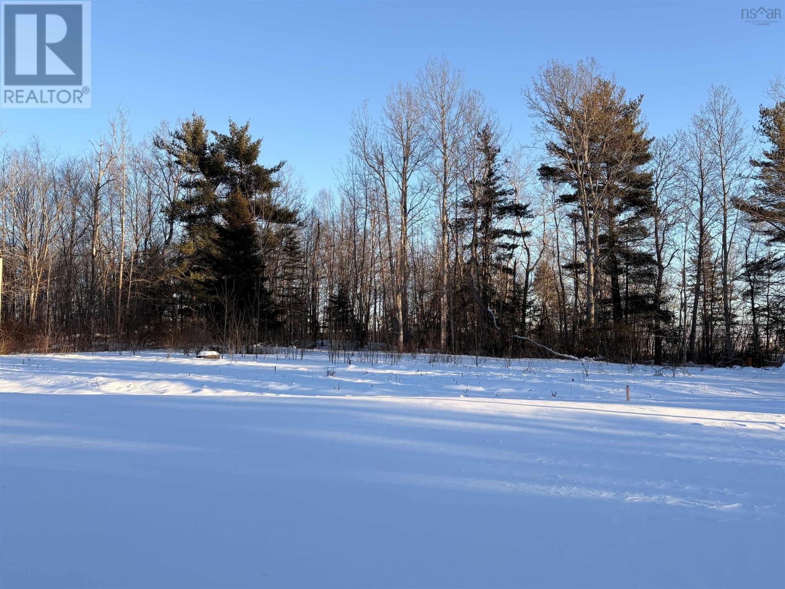 855 Highway 2, Elmsdale, Nova Scotia  B2S 1M1 - Photo 4 - 202602072