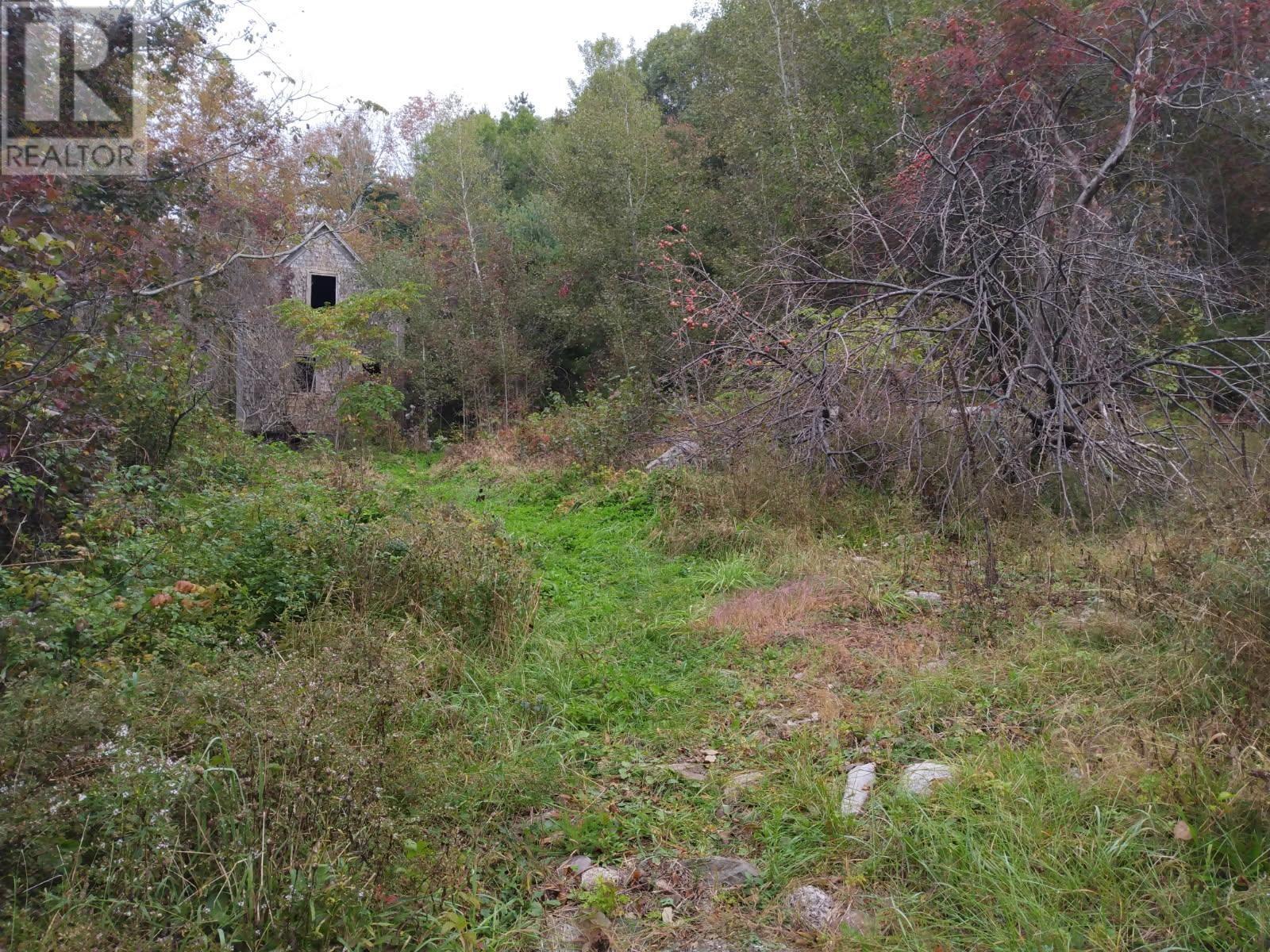 793 Lahave Street, Bridgewater, Nova Scotia  B4V 2V2 - Photo 2 - 202602079