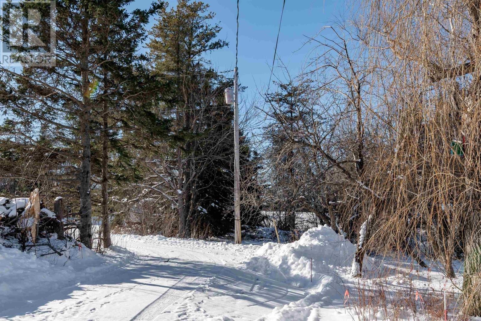 1407 North Shore Road, North Shore, Nova Scotia  B0K 1E0 - Photo 2 - 202602084
