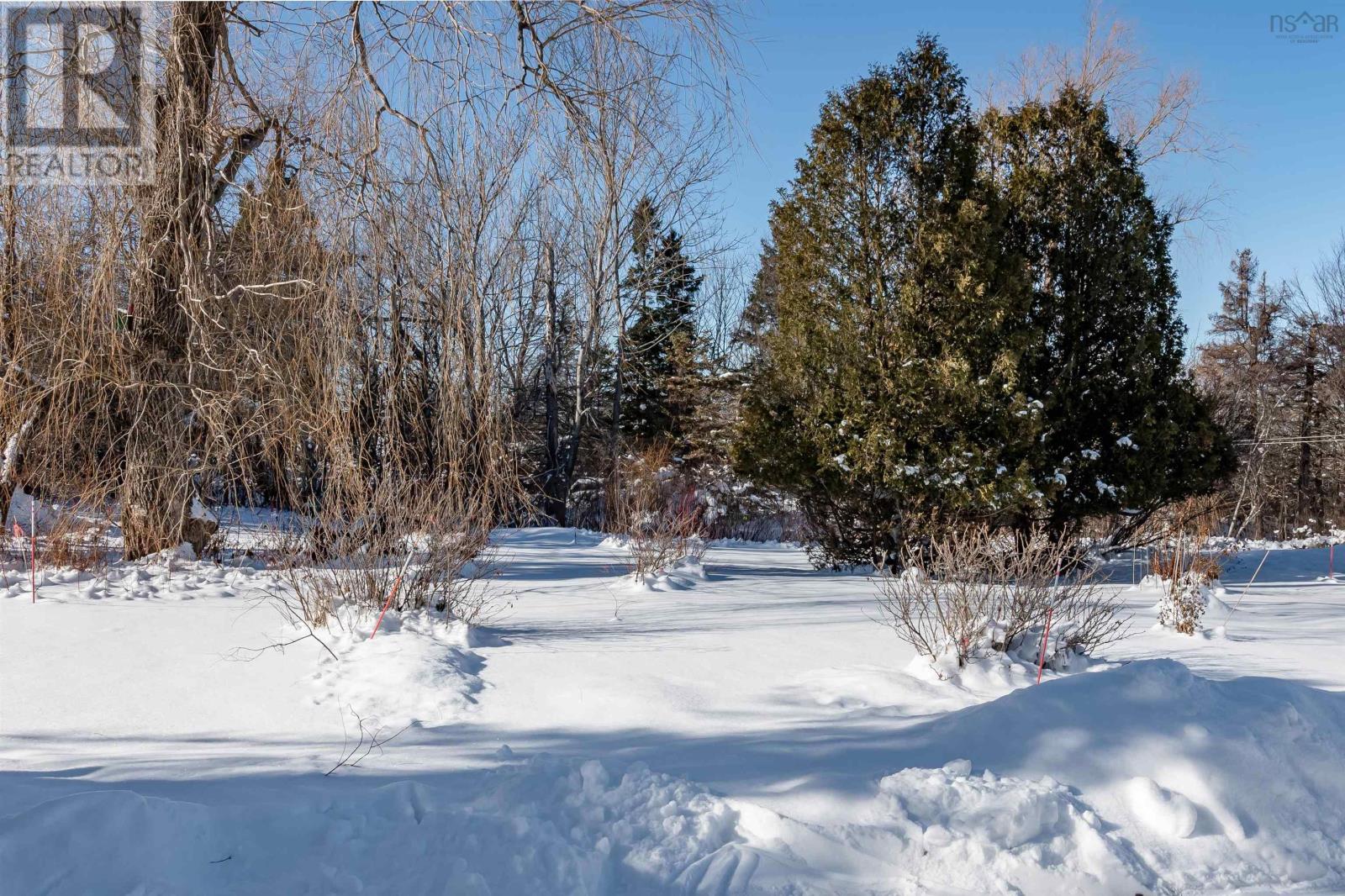 1407 North Shore Road, North Shore, Nova Scotia  B0K 1E0 - Photo 3 - 202602084