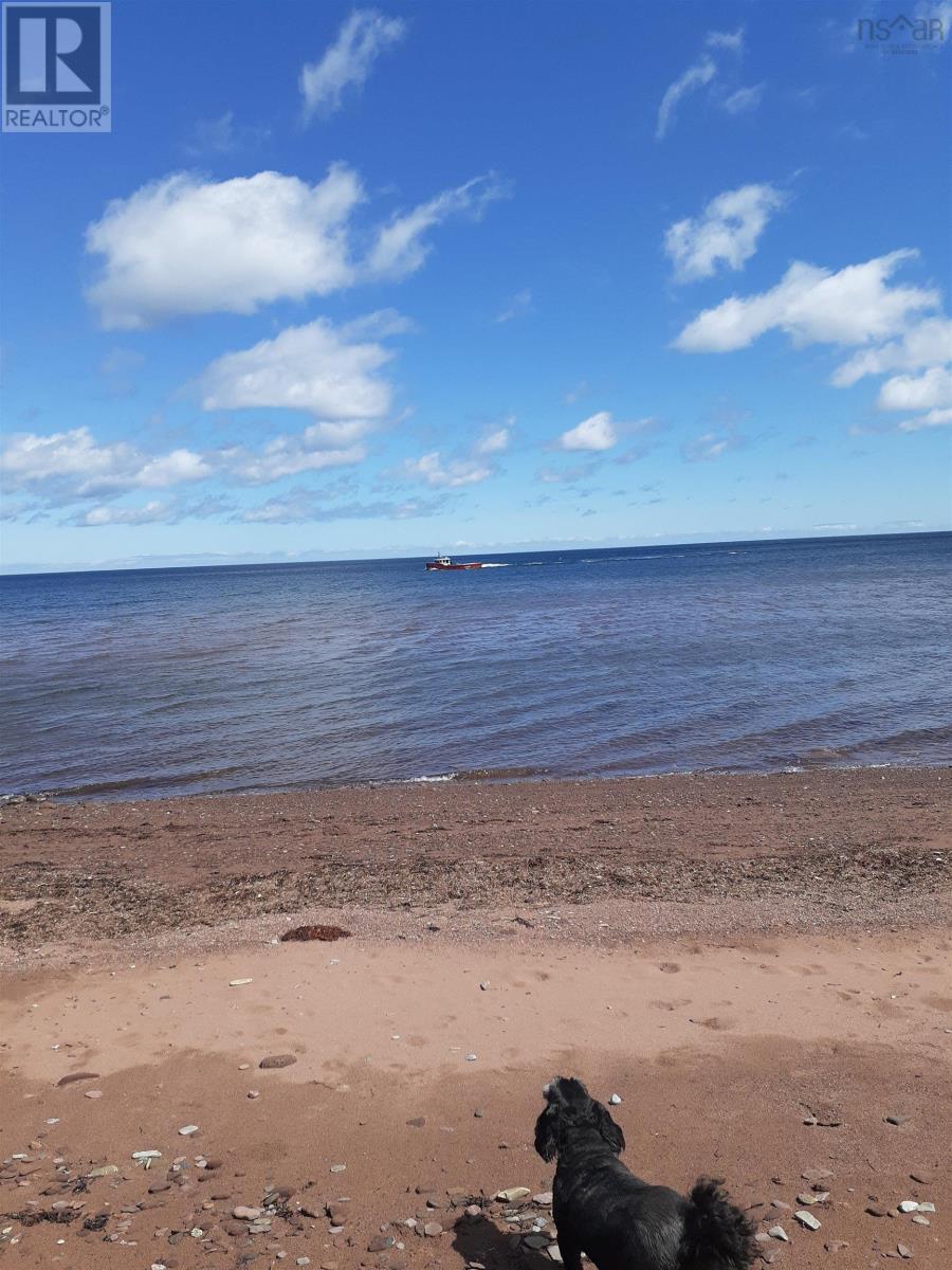 1407 North Shore Road, North Shore, Nova Scotia  B0K 1E0 - Photo 33 - 202602084