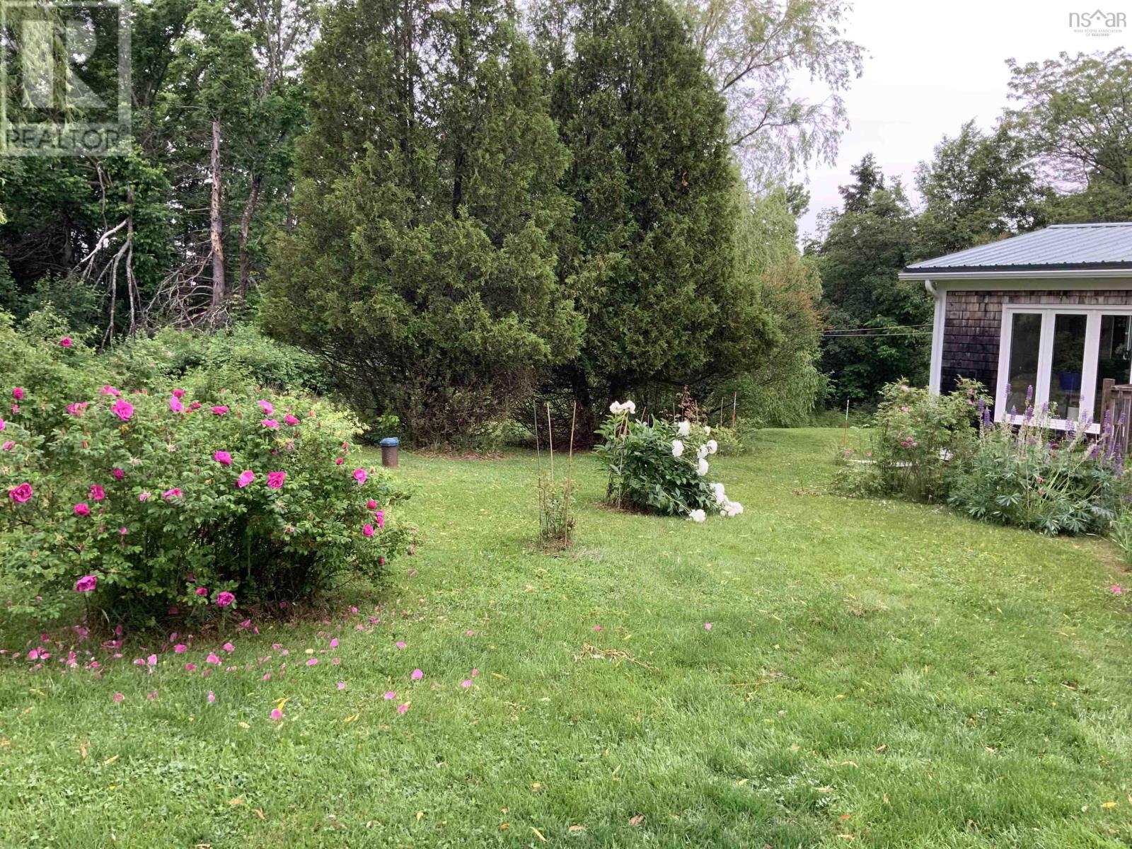 1407 North Shore Road, North Shore, Nova Scotia  B0K 1E0 - Photo 5 - 202602084