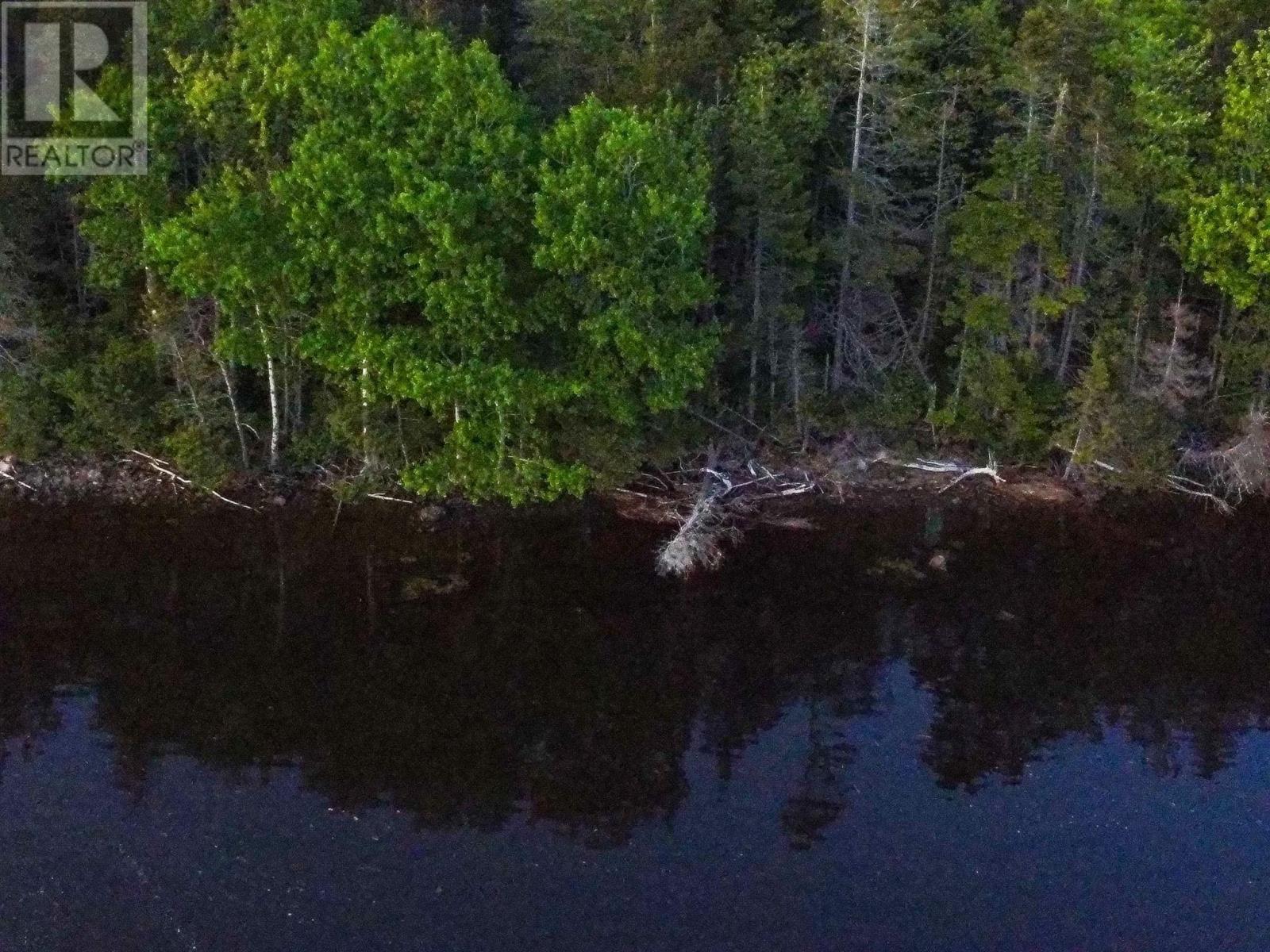 Macleod Road, Evanston, Nova Scotia  B0E 1J0 - Photo 10 - 202602081