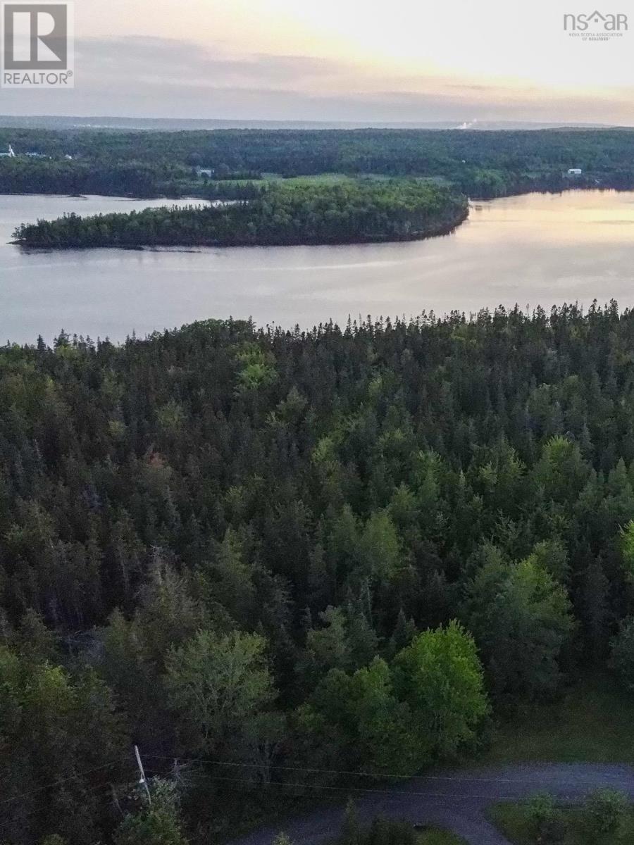Macleod Road, Evanston, Nova Scotia  B0E 1J0 - Photo 13 - 202602081