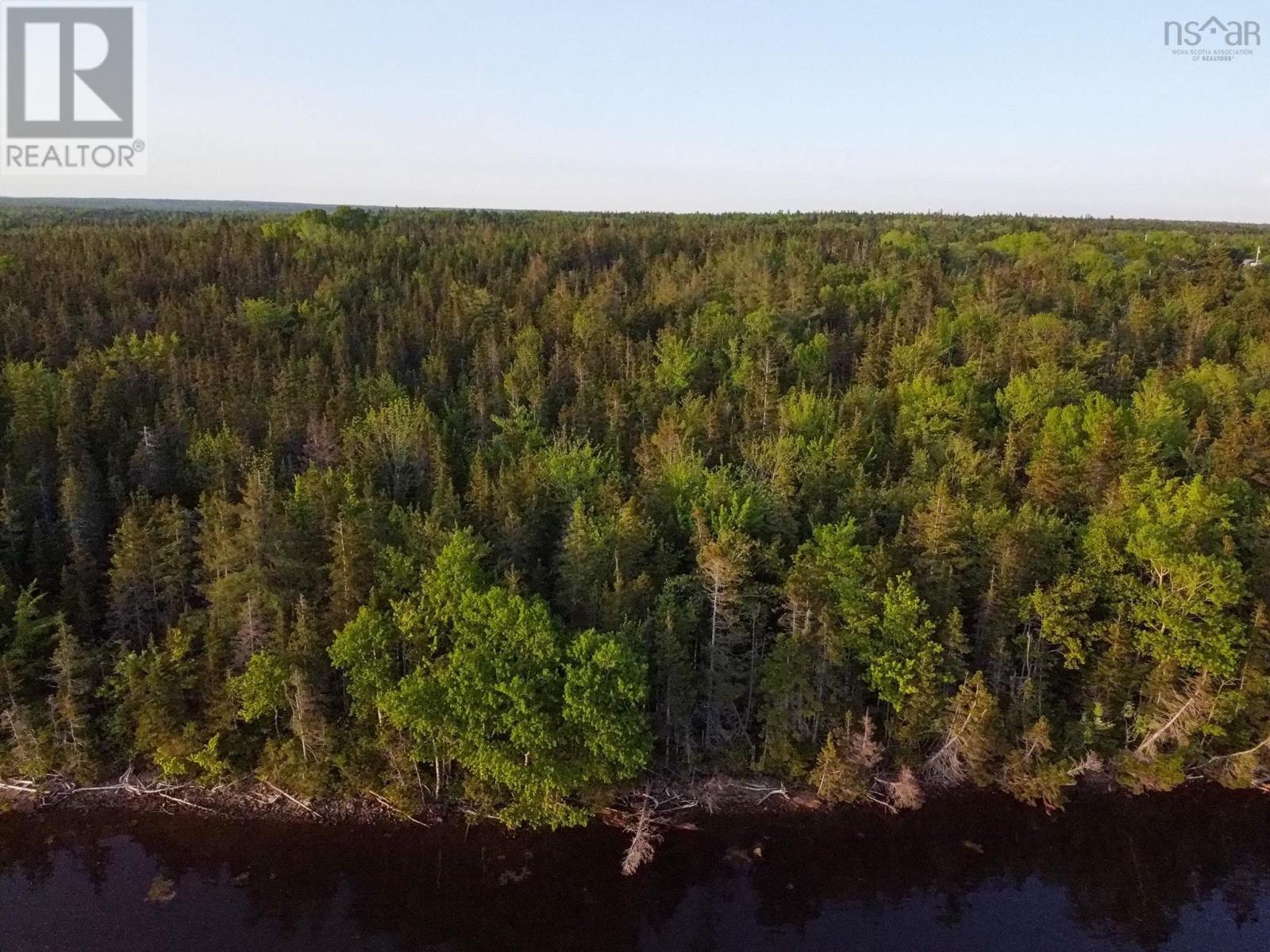Macleod Road, Evanston, Nova Scotia  B0E 1J0 - Photo 16 - 202602081