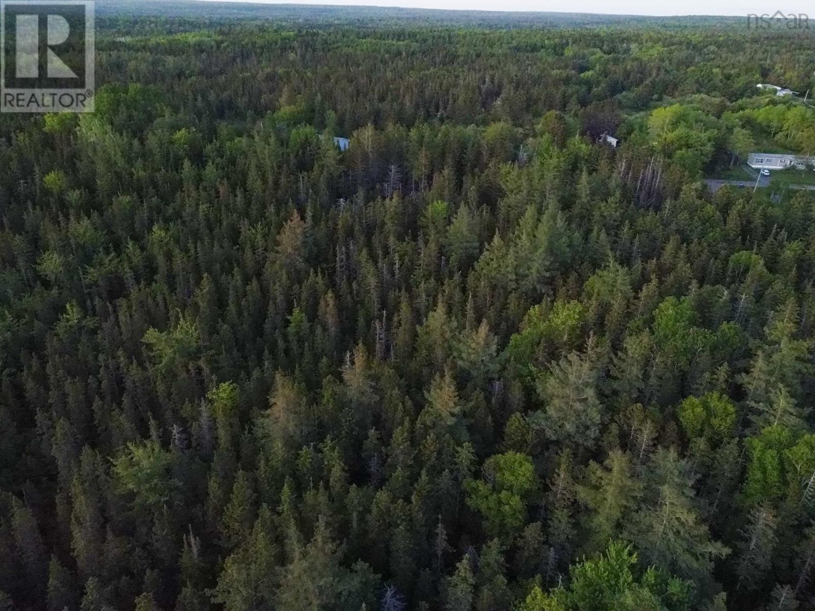 Macleod Road, Evanston, Nova Scotia  B0E 1J0 - Photo 6 - 202602081