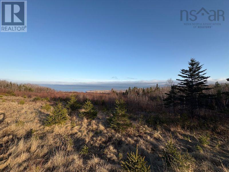 Lot 8 Highway 358, South Scots Bay, Nova Scotia  B0P 1H0 - Photo 16 - 202602095