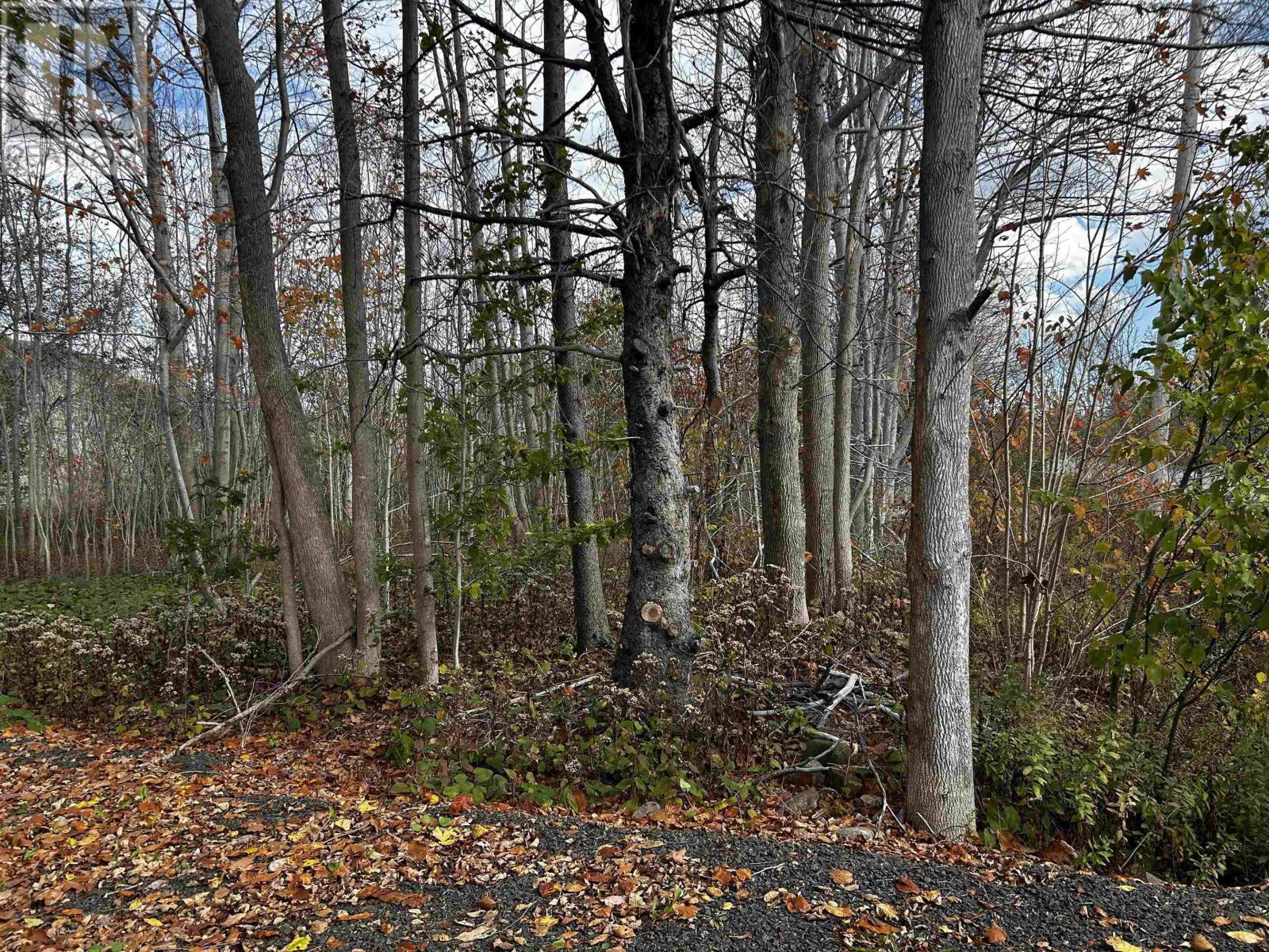 Lot Granville Road, Karsdale, Nova Scotia  B0S 1A0 - Photo 11 - 202602097