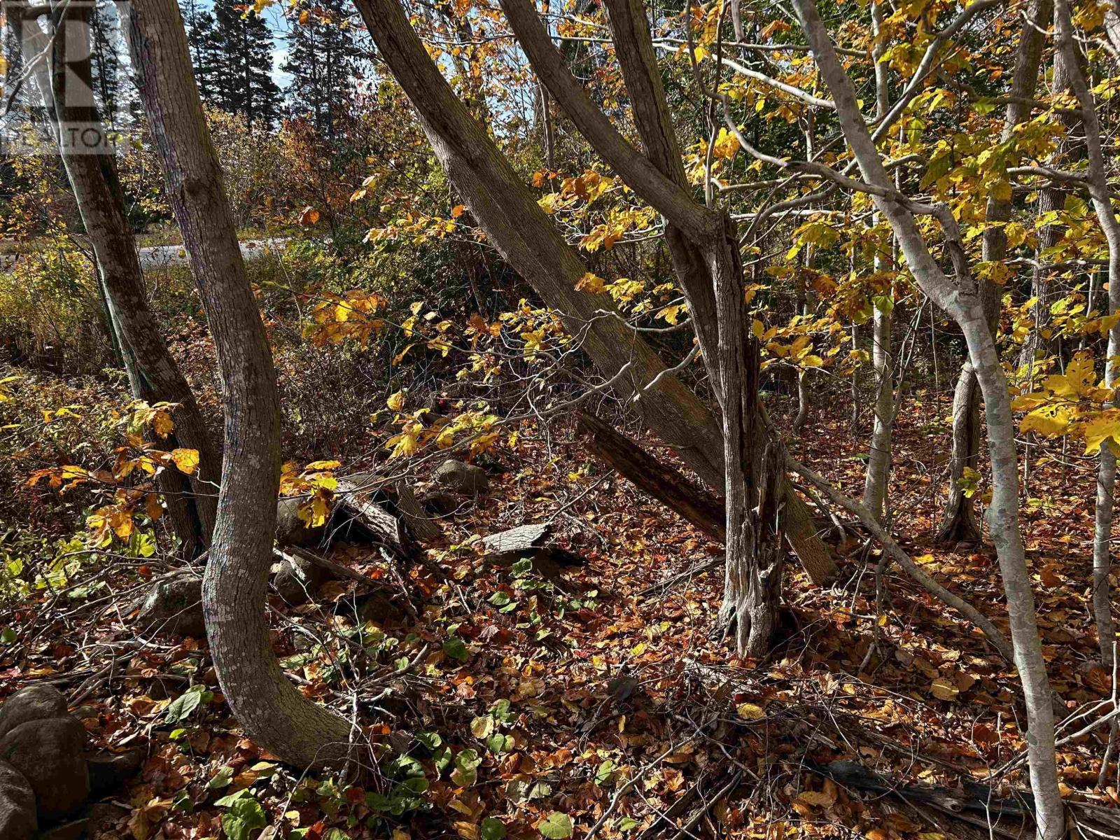 Lot Granville Road, Karsdale, Nova Scotia  B0S 1A0 - Photo 14 - 202602097