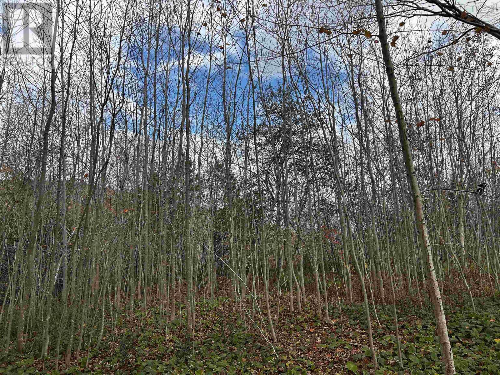 Lot Granville Road, Karsdale, Nova Scotia  B0S 1A0 - Photo 15 - 202602097