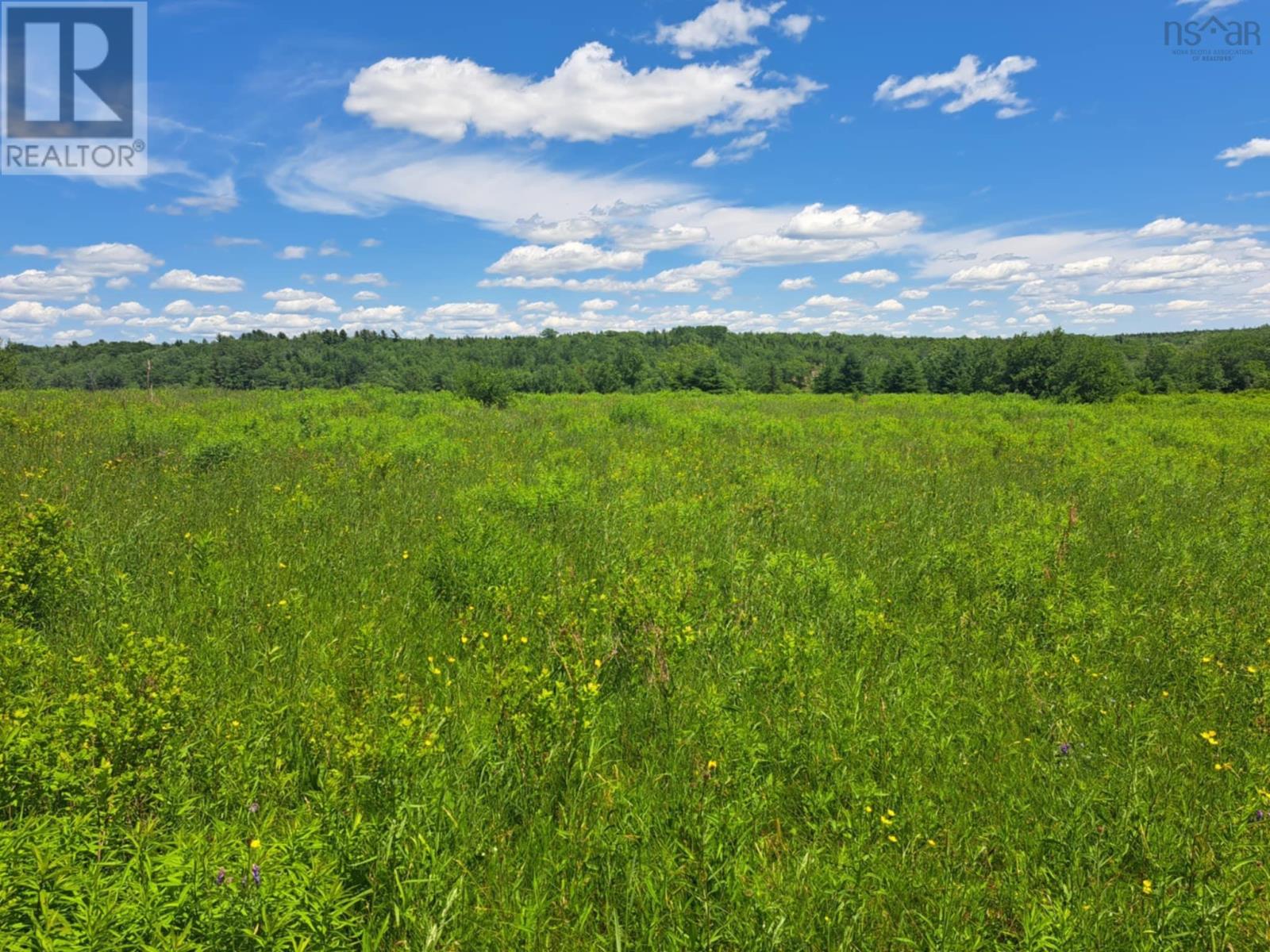 Lot 2 Lake Egmont Road, Lake Egmont, Nova Scotia  B0N 1Y0 - Photo 2 - 202602122