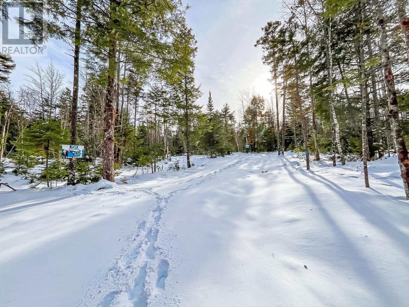 Lot 8 Conquerall Road, Conquerall Bank, Nova Scotia  B0R 1G0 - Photo 3 - 202602131