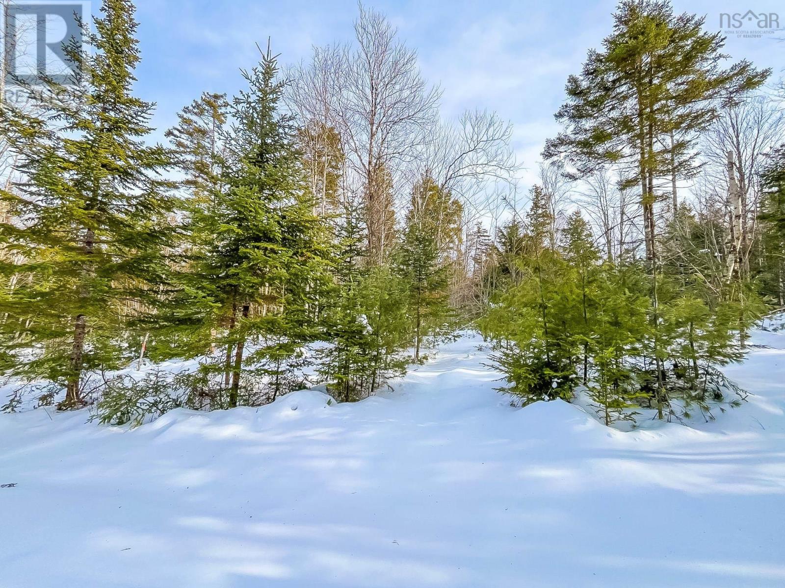 Lot 8 Conquerall Road, Conquerall Bank, Nova Scotia  B0R 1G0 - Photo 4 - 202602131