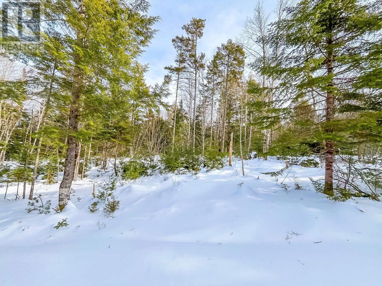 Lot 8 Conquerall Road, Conquerall Bank, Nova Scotia  B0R 1G0 - Photo 5 - 202602131