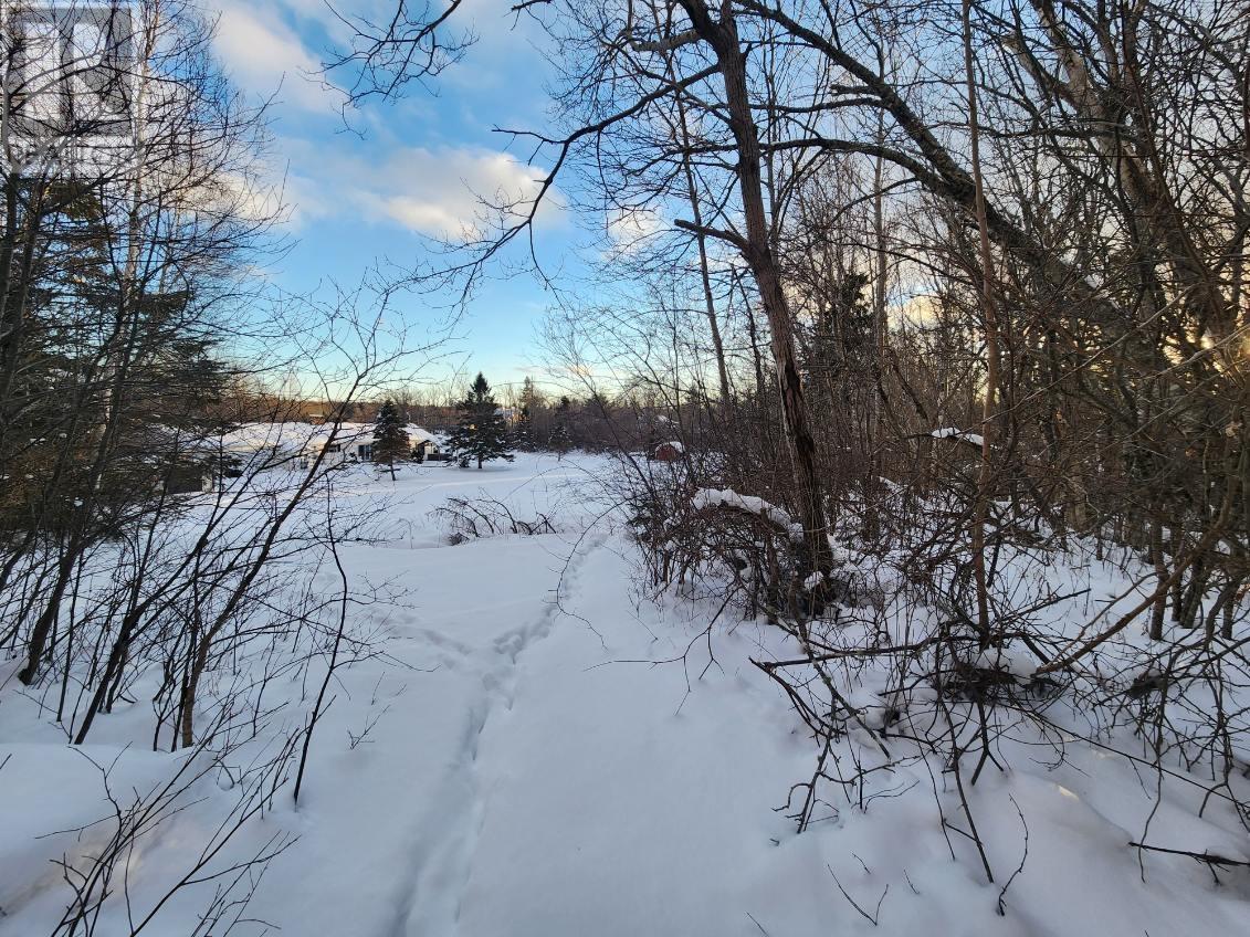 8 Acres Cedar Road, Church Hill, Maitland, Nova Scotia  B0N 1T0 - Photo 2 - 202602135