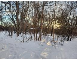 8 Acres Cedar Road|Church Hill, maitland, Nova Scotia