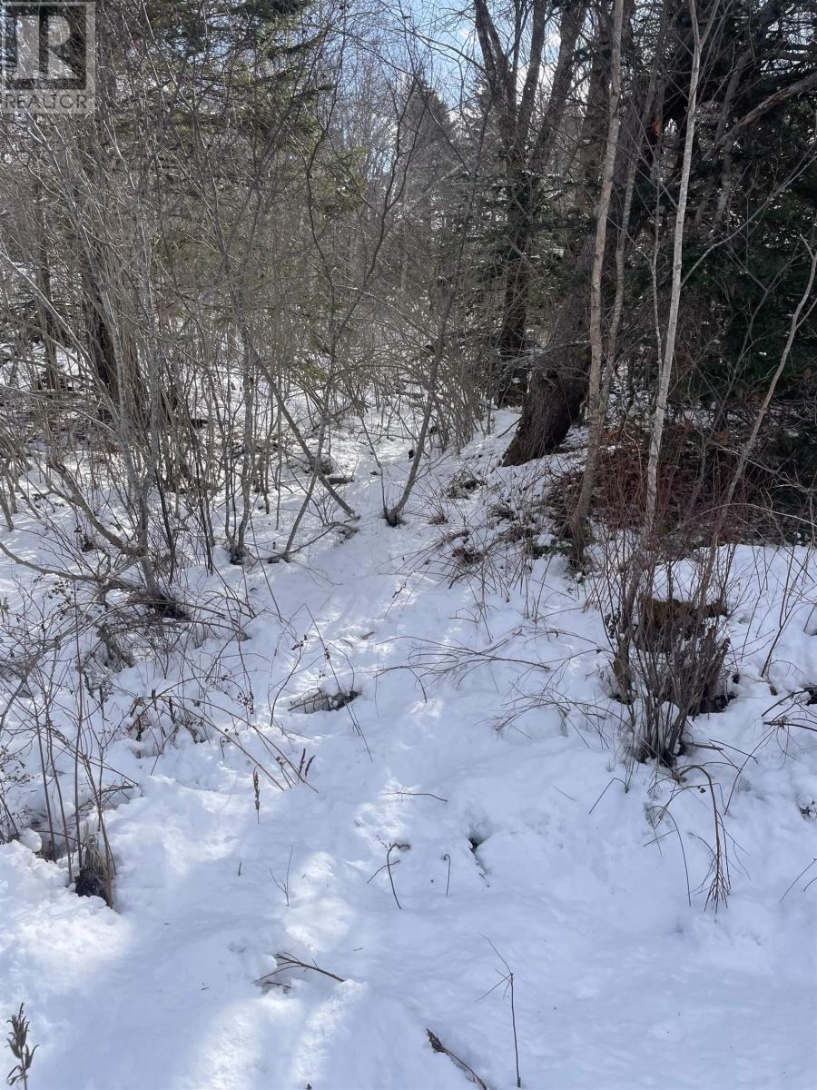 847 Patrice Road, Church Point, Nova Scotia  B0W 1M0 - Photo 10 - 202602151