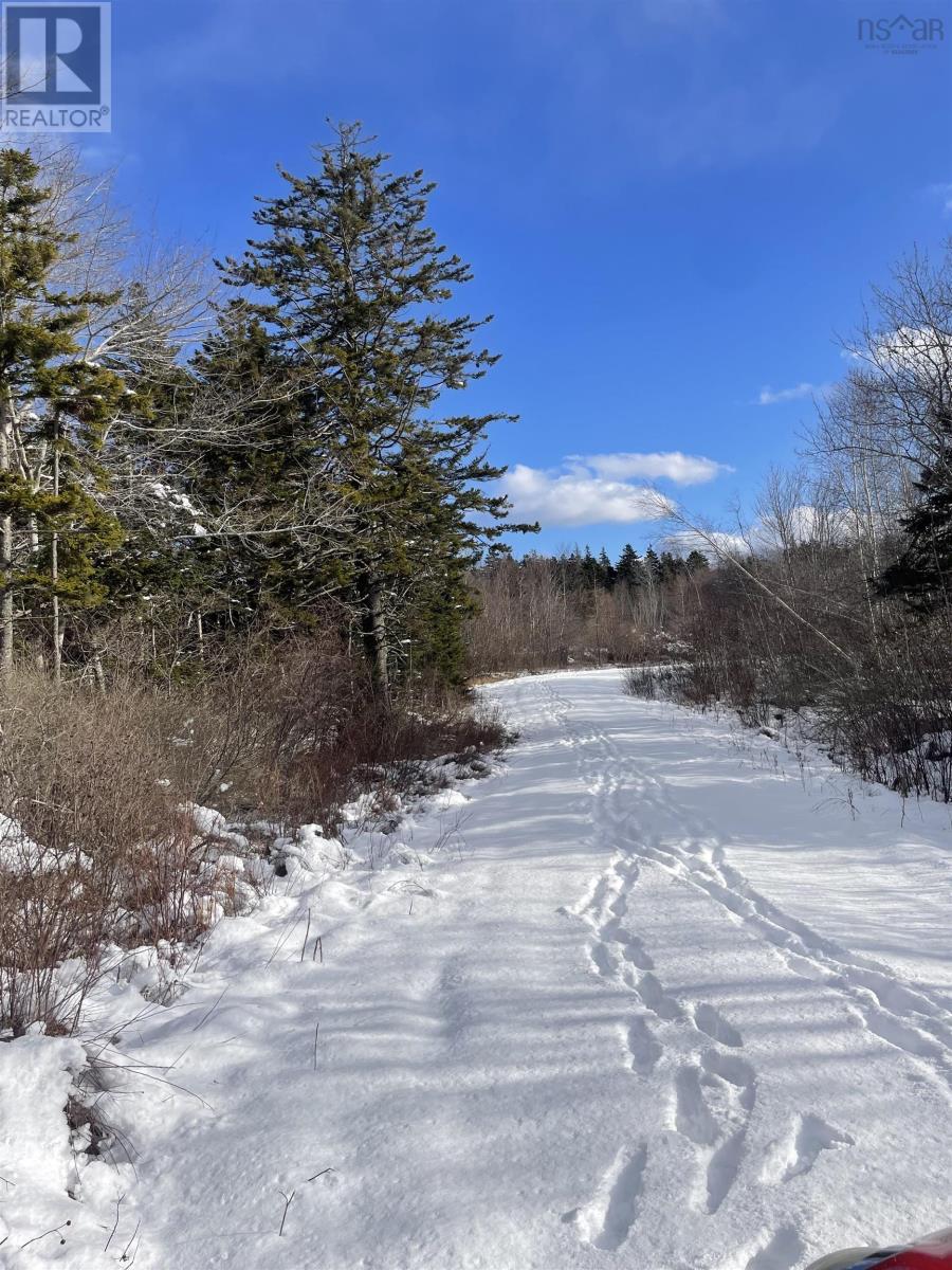 847 Patrice Road, Church Point, Nova Scotia  B0W 1M0 - Photo 11 - 202602151
