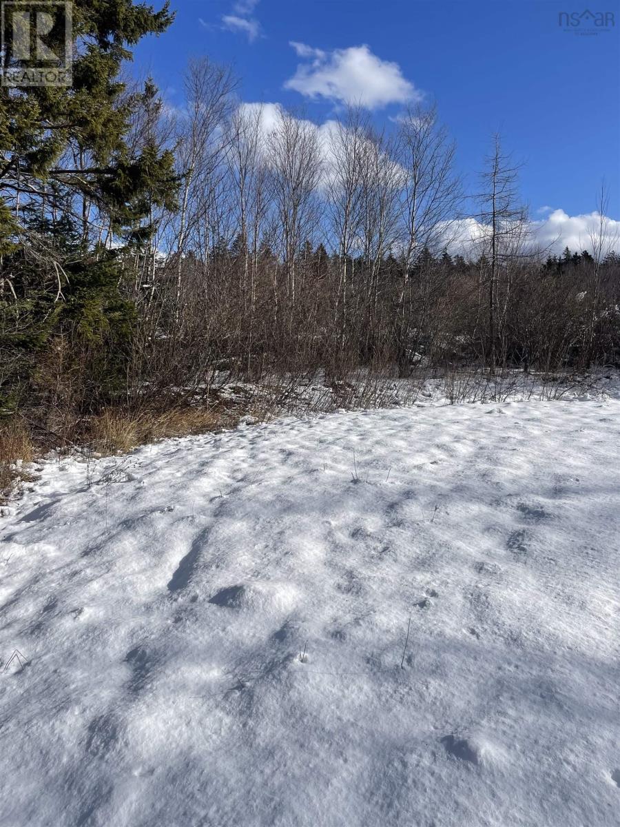 847 Patrice Road, Church Point, Nova Scotia  B0W 1M0 - Photo 14 - 202602151