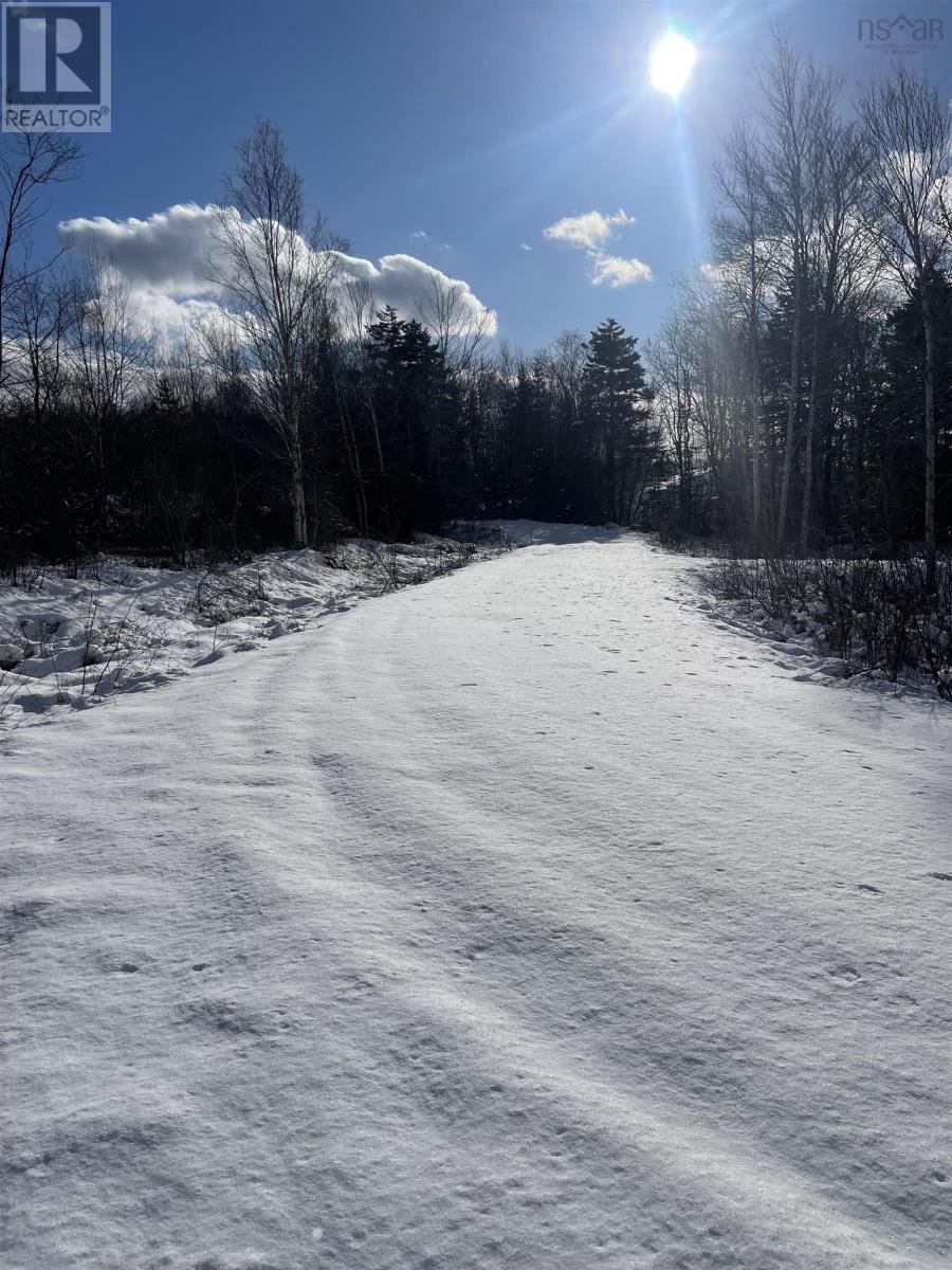 847 Patrice Road, Church Point, Nova Scotia  B0W 1M0 - Photo 17 - 202602151