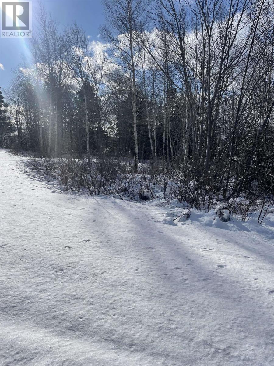 847 Patrice Road, Church Point, Nova Scotia  B0W 1M0 - Photo 18 - 202602151